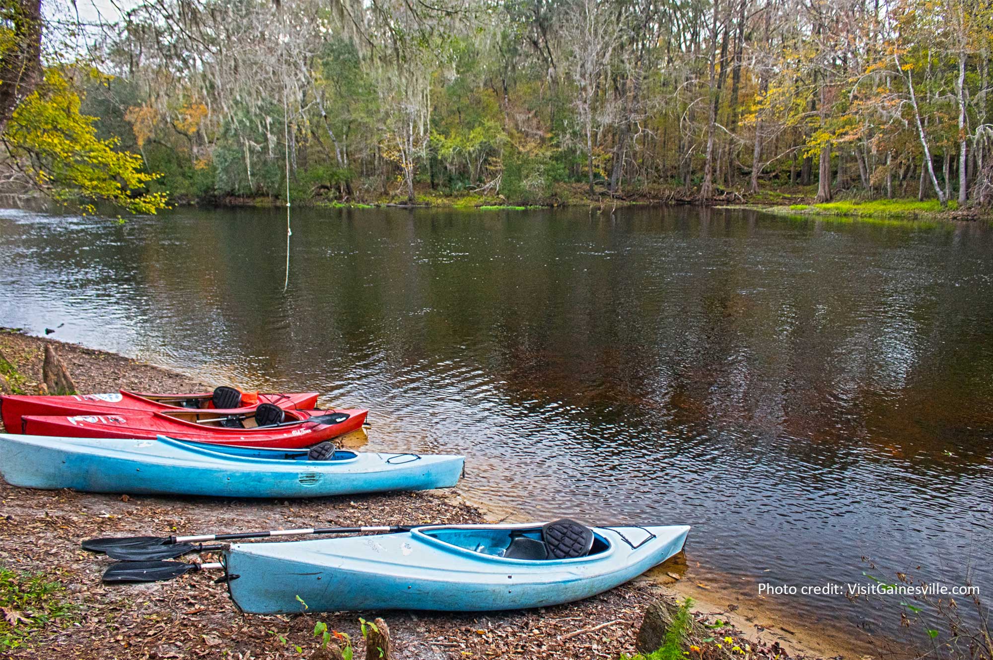 Kayaking at the Santa Fe River - minutes from the Gaineville and Alachua county area's beautiful outdoors